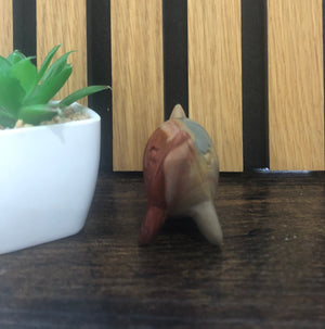 Agate dolphin