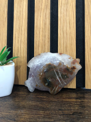 Amethyst fish
