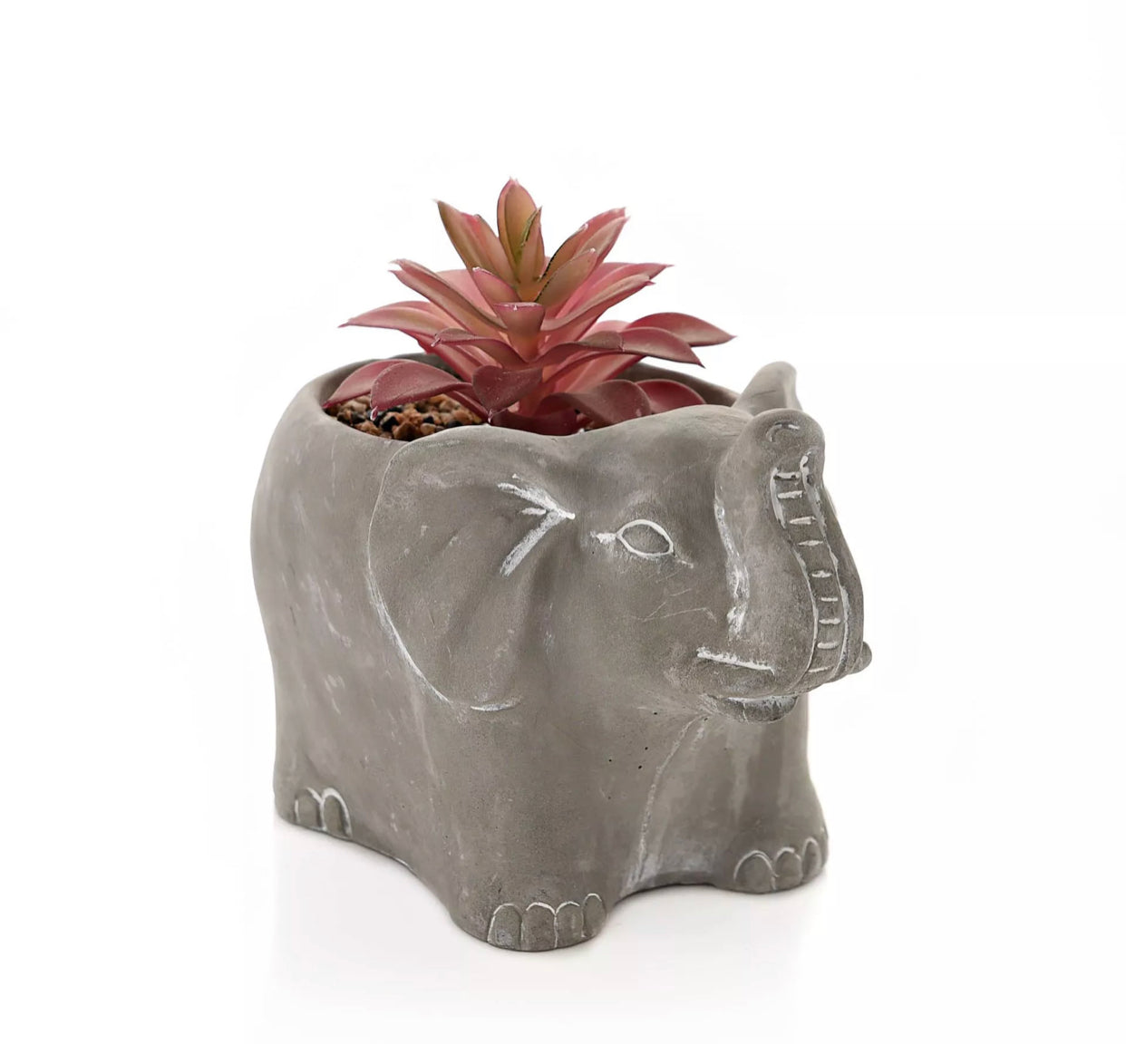 CEMENT EFFECT ELEPHANT PLANTER WITH SUCCULENT