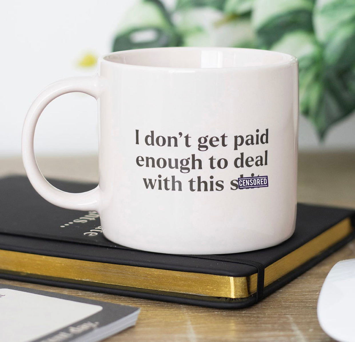 I DON'T GET PAID ENOUGH SWEARY MUG