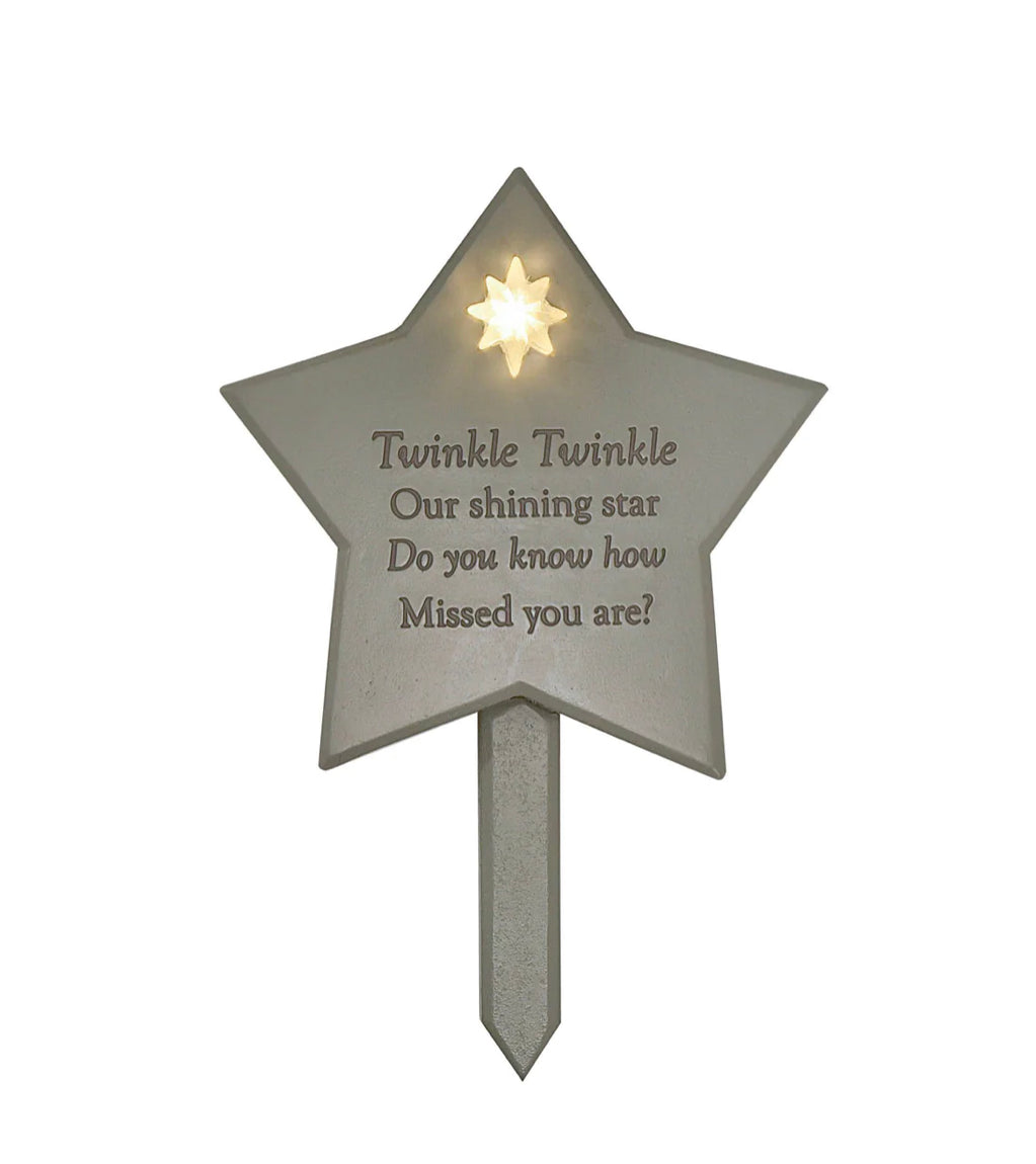 Memorial light up star
