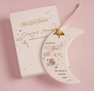 THE LITTLE THINGS HANGING PLAQUE - BECAUSE OF YOU