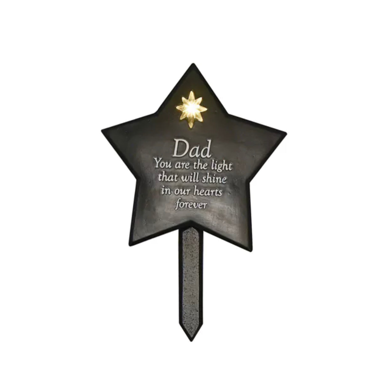 Dad memorial solars light up star