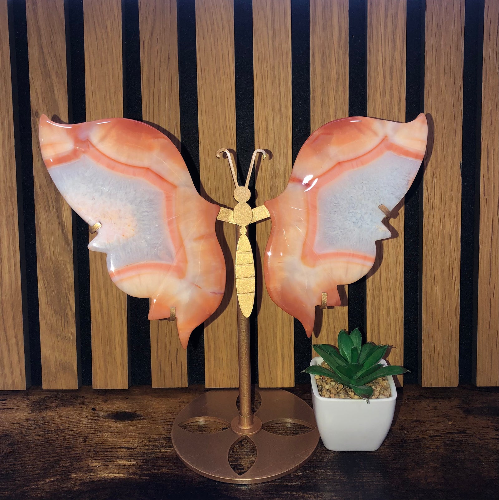 Carnelian butterfly