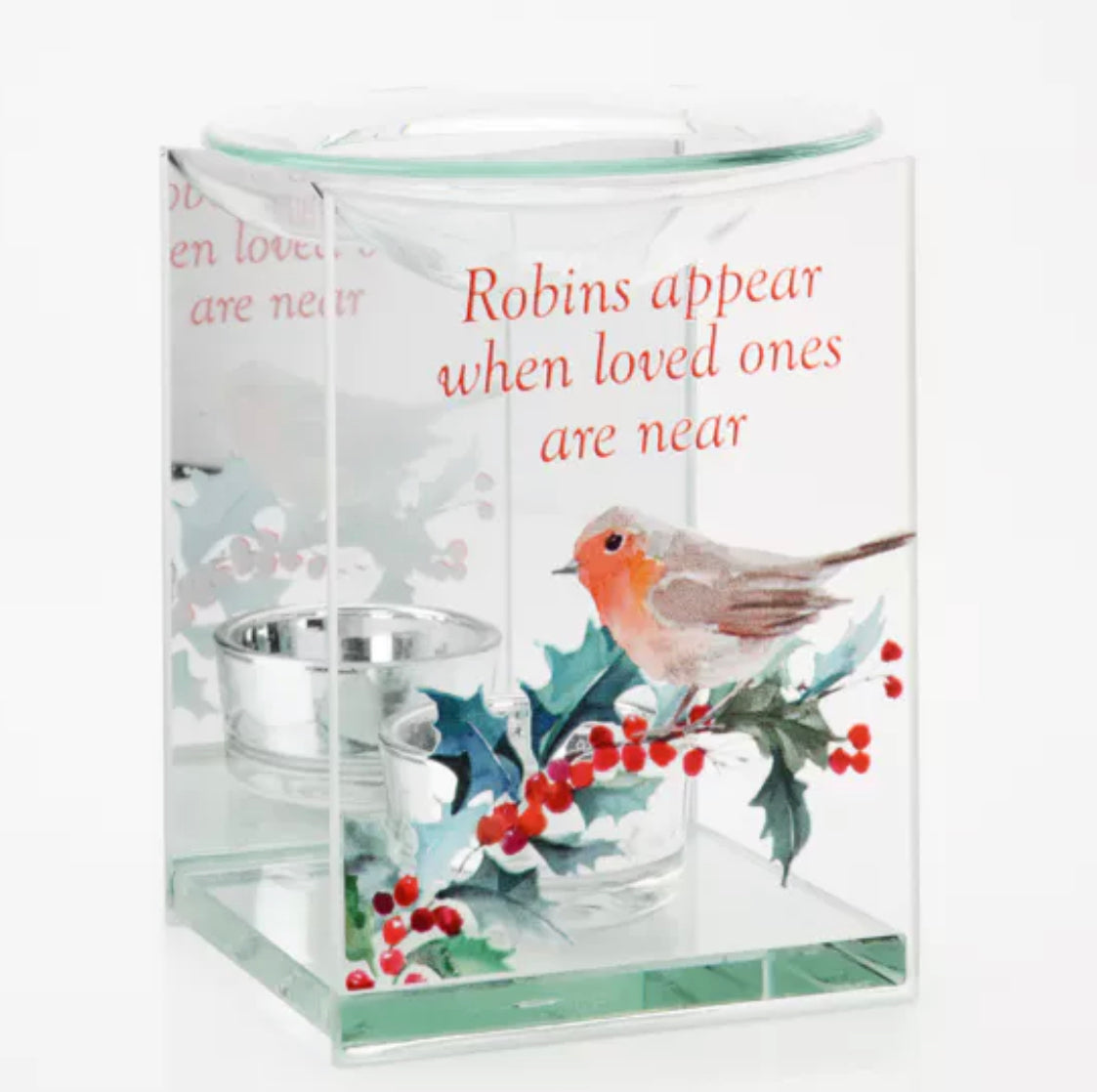 Robin oil burner