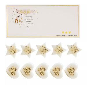 THE LITTLE THINGS WAX MELTS