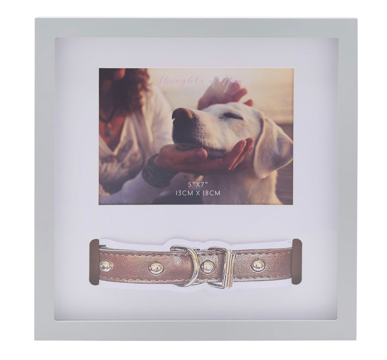 THOUGHTS OF YOU PET COLLAR FRAME
