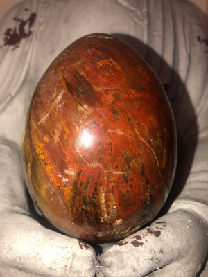 Petrified wood egg