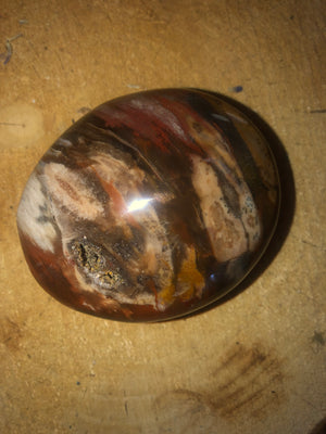 Petrified wood Gallet