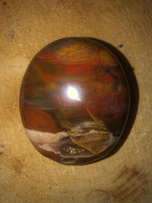 Petrified wood Gallet