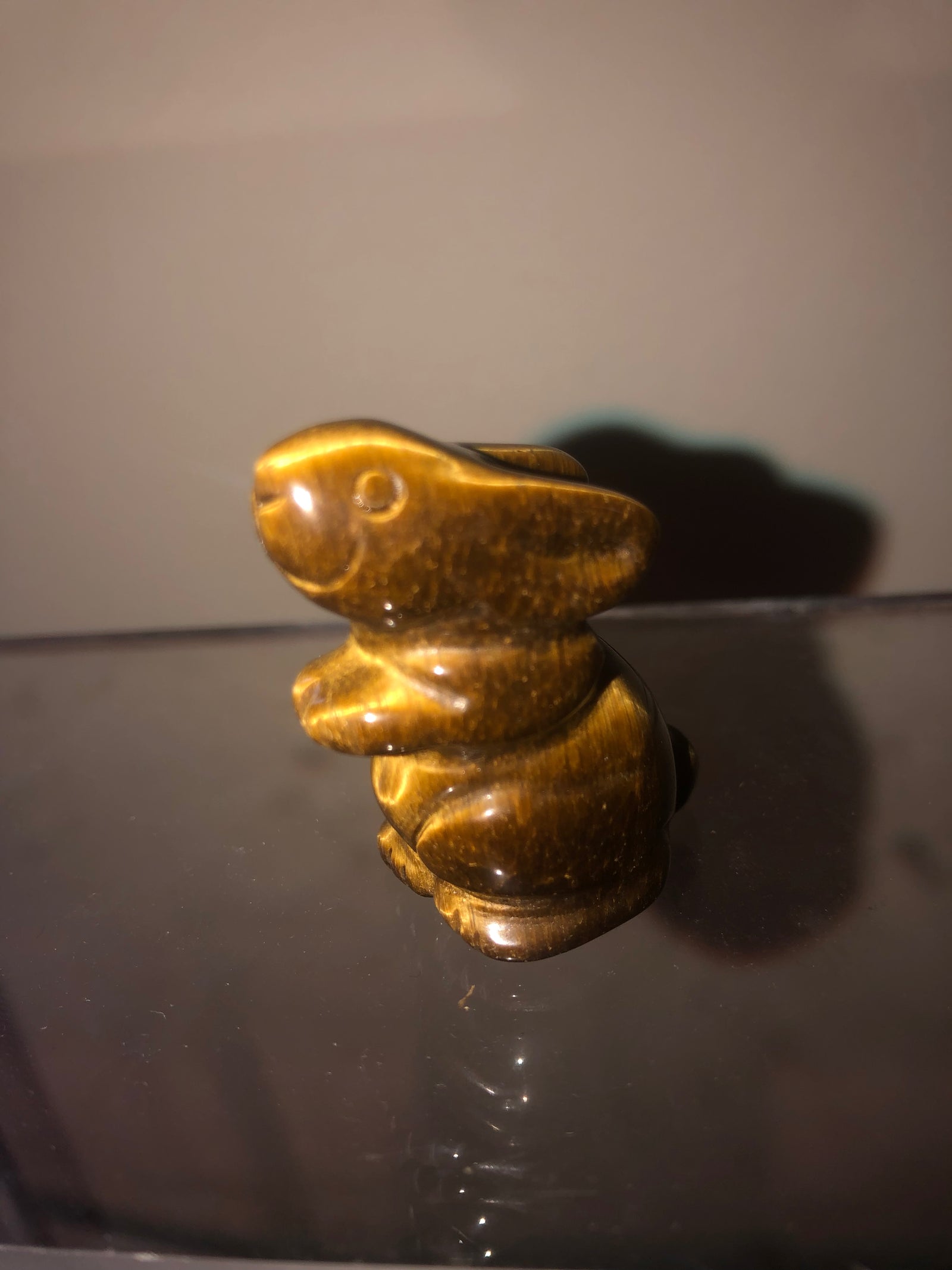 Golden tigers eye rabbit