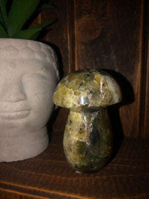 Yellow Opal mushroom