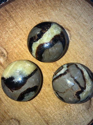 Septarian Palm Stones