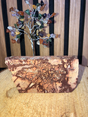 Picture jasper slices