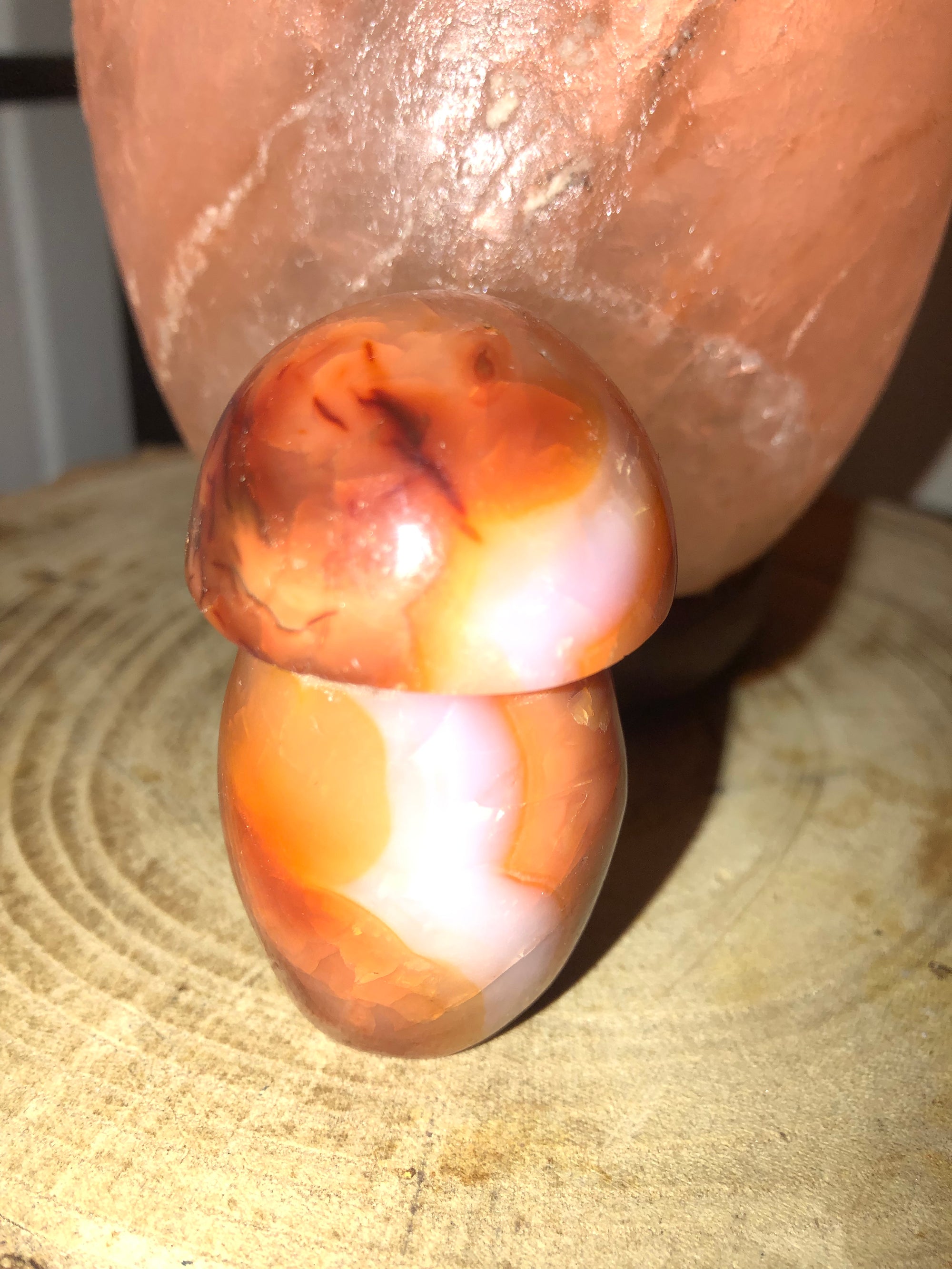 Carnelian mushrooms