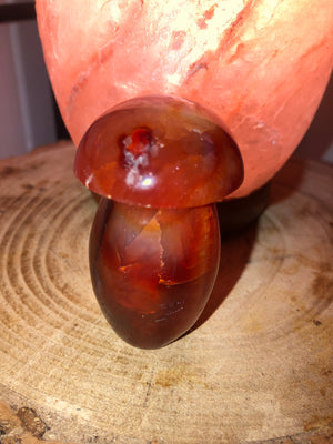 Carnelian mushrooms