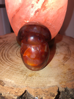 Carnelian mushrooms