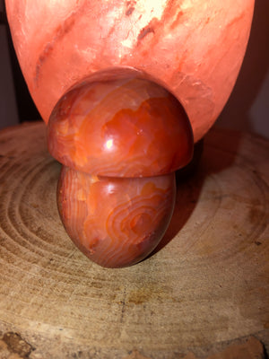 Carnelian mushrooms