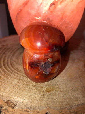 Carnelian mushrooms