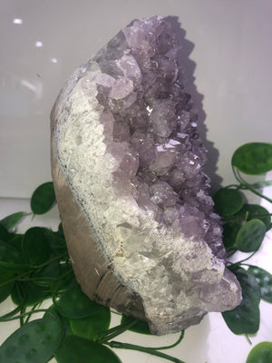 Amethyst Freeform