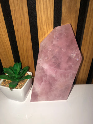 Rose Quartz slices