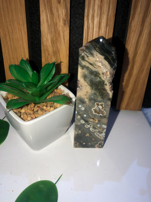 Ocean Jasper towers