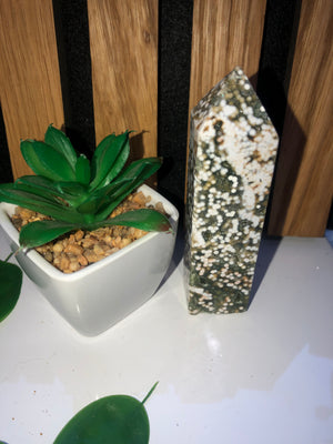Ocean Jasper towers