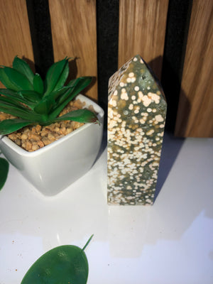 Ocean Jasper towers