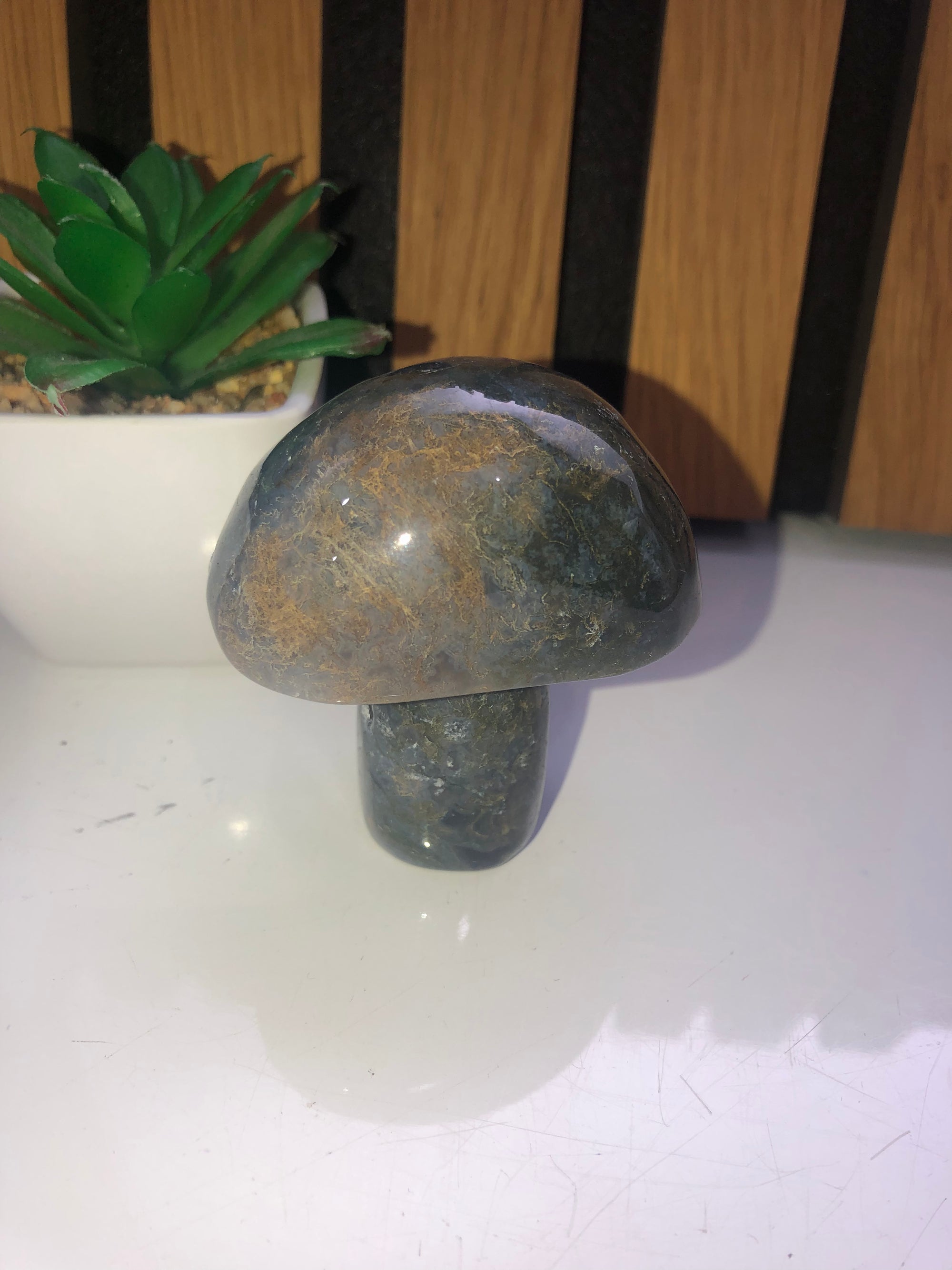 Green moss agate mushroom