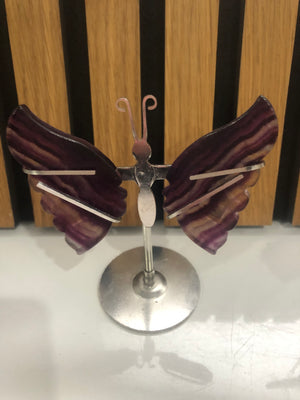 Fluorite butterfly