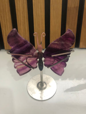 Fluorite butterfly