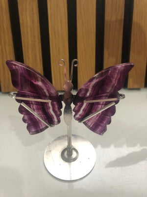 Fluorite butterfly