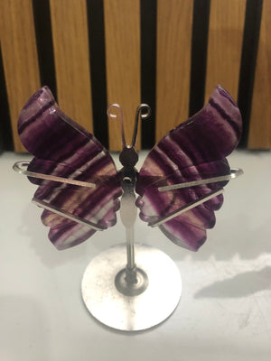 Fluorite butterfly