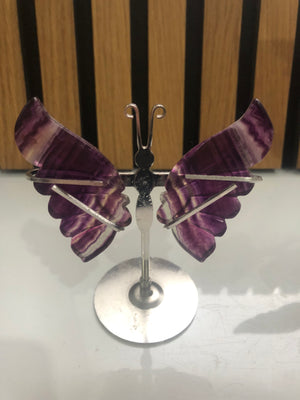 Fluorite butterfly