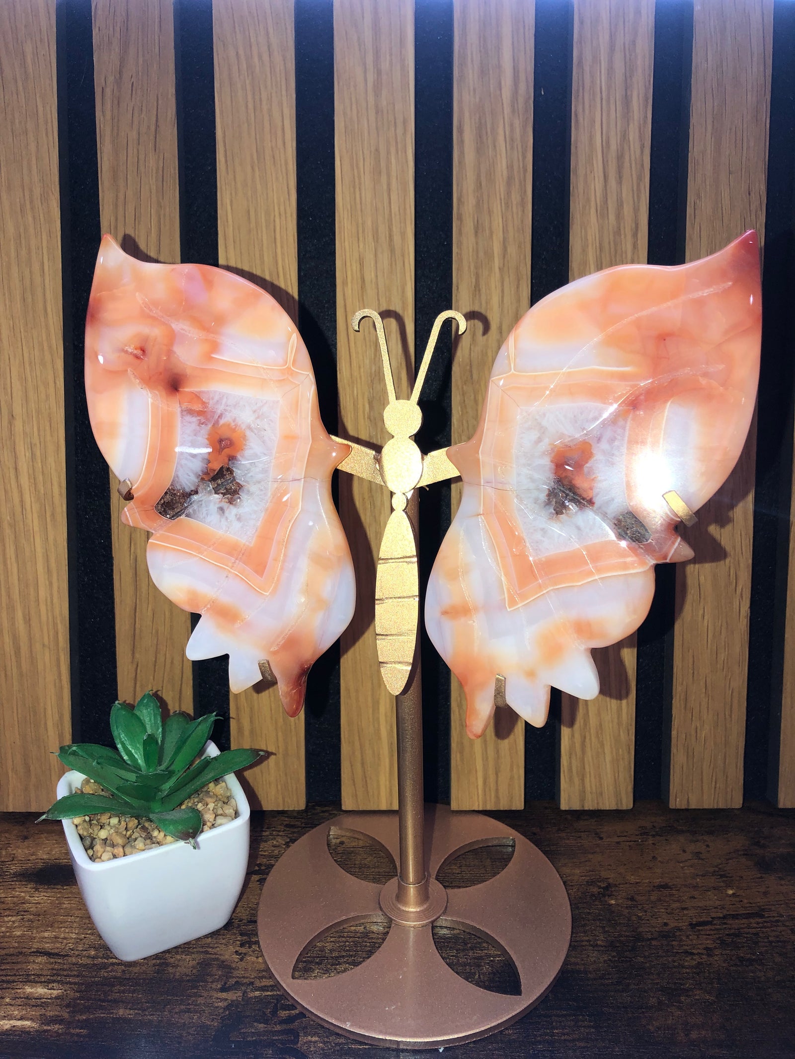 Carnelian butterfly