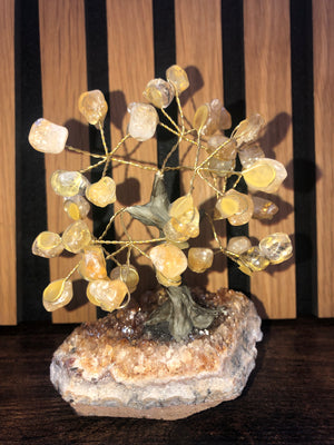Crystal trees, citrine on a citrine base