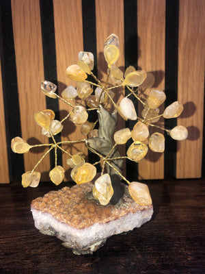 Crystal trees, citrine on a citrine base