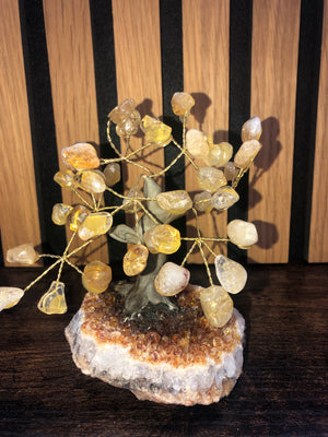 Crystal trees, citrine on a citrine base