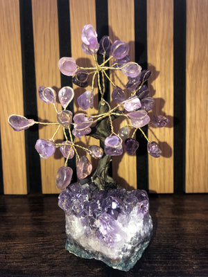 Crystal trees, amethyst on amethyst base