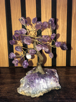 Crystal trees, amethyst on amethyst base