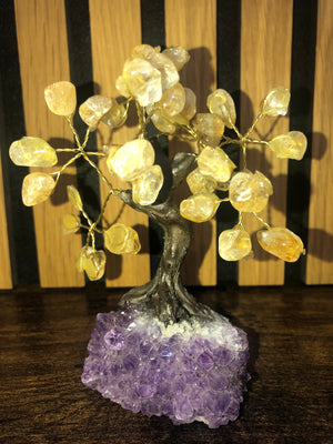 Crystal trees, citrine on amethyst base