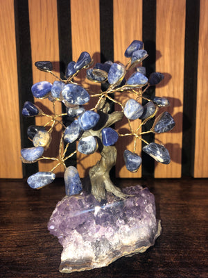 Crystal trees. Sodalite on amethyst base