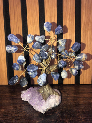 Crystal trees. Sodalite on amethyst base