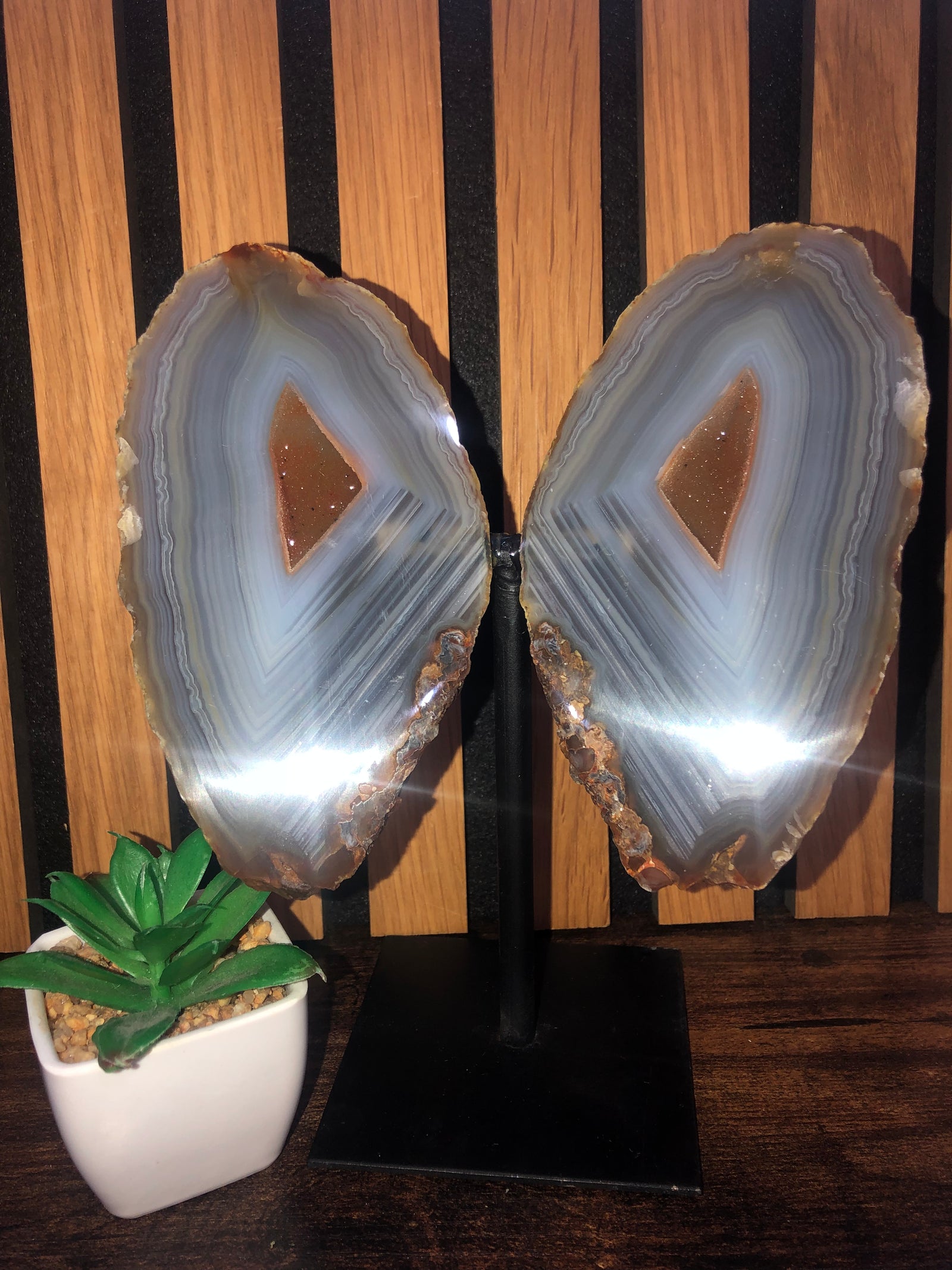 Druzy agate wings