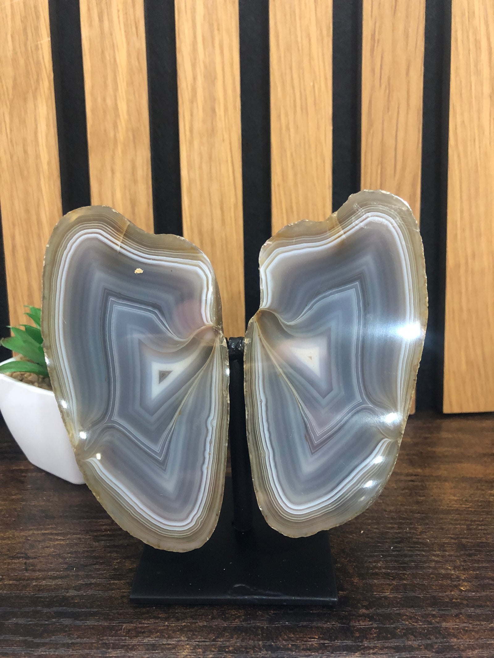 Agate wings