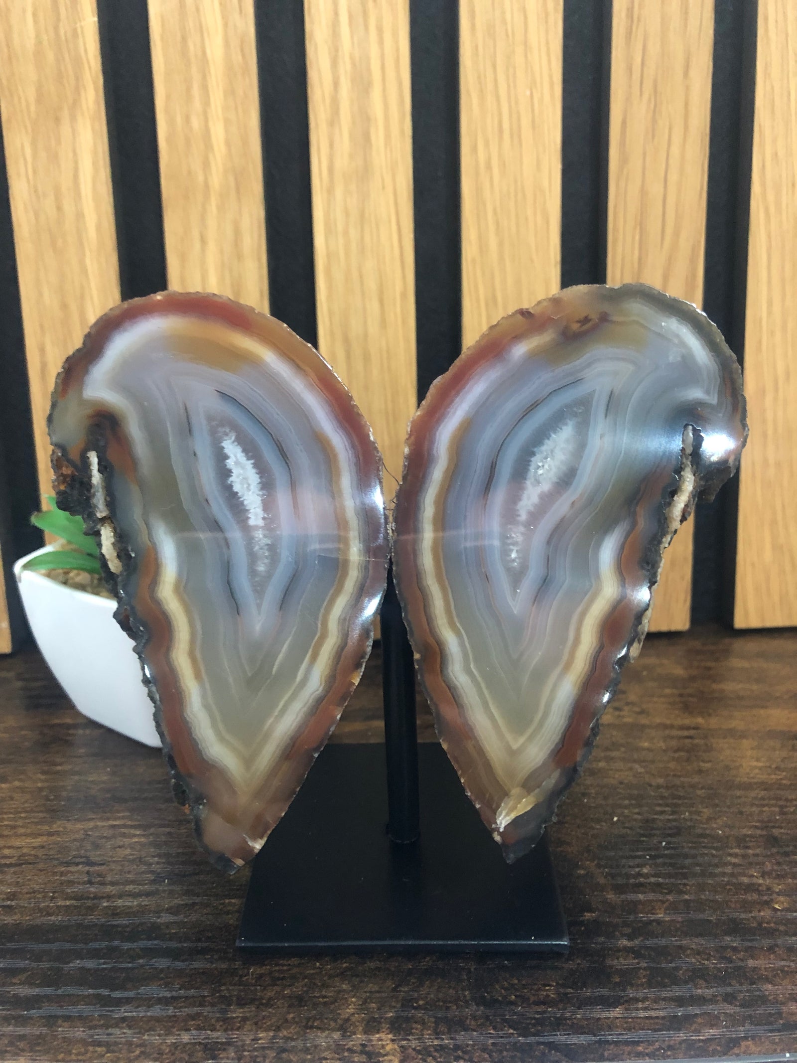 Druzy agate wings