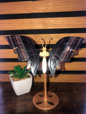 Fluorite butterfly