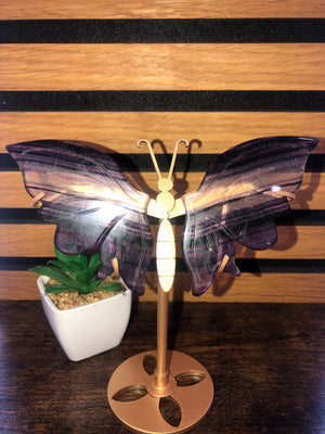 Fluorite butterfly