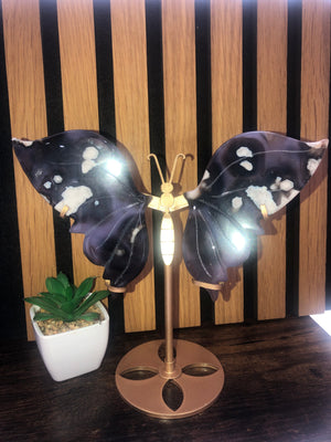 Blue agate butterfly
