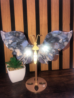 Blue agate butterfly